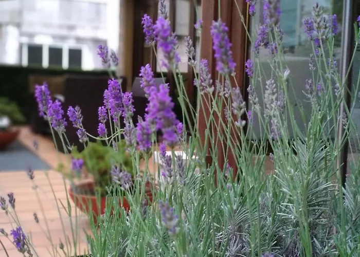 Rural Noalla Noalla (Pontevedra)